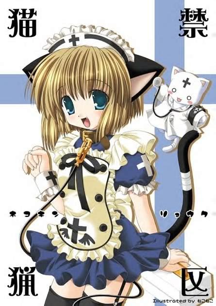 Mylittleblog Cute Anime Catgirls