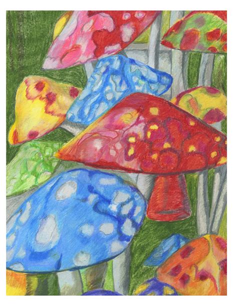 Mushroom Forrest Colored Pencils Illustration Painting Art