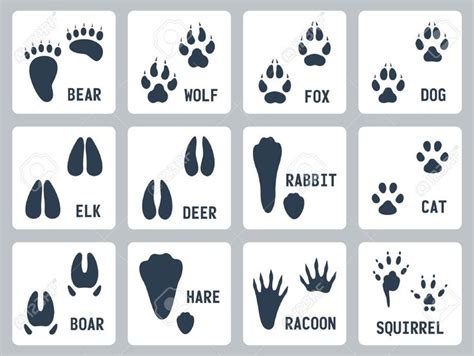 Animal Tracks Icons Set Animal Tracks Animal Footprints Icon Set Vector