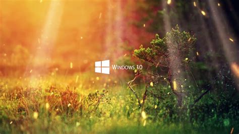 337 Live Wallpaper For Windows 10 Nature For Free Myweb