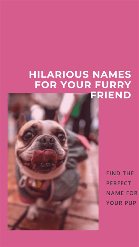 150 Funny Dog Names Perfect For Your Pup Beaconpet