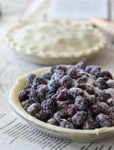 Summer Black Berry Pie Recipe Blackberry Pie Blackberry Pie Recipes