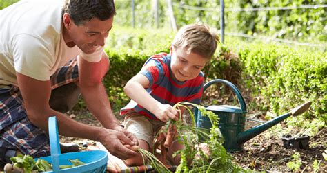 5 Easy Tips For Gardening With Your Kids Learning Liftoff