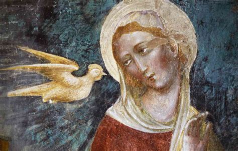 The Importance Of The Dove At Jesus Christs Baptism