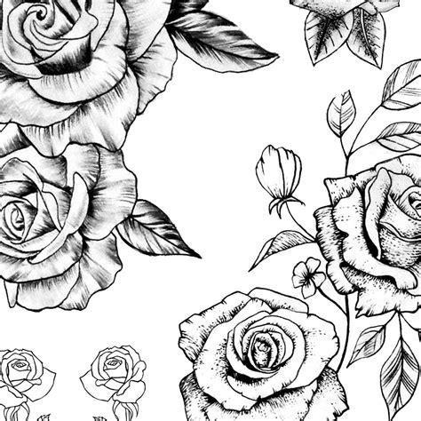Sexy Roses Line Work Tattoo Design Tattoodesignstock