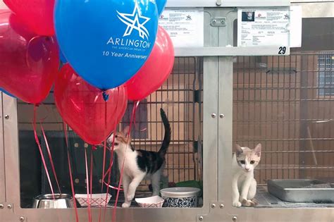 4076 heritage trace pkwy fort worth, texas. Arlington Animal Services Center Celebrates 10th ...