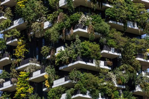 The Vertical Forest A Concrete Utopia For The World From Milan