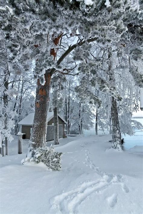 Beautiful Snowy Scene Winter Pinterest