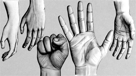 Hand Palm Drawing