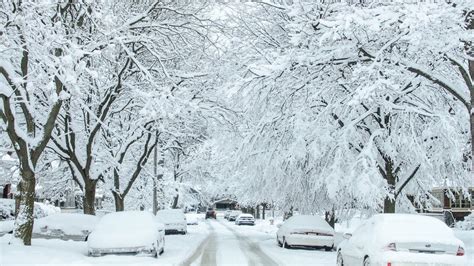 Winters Wallop Michigan Snowfall Totals