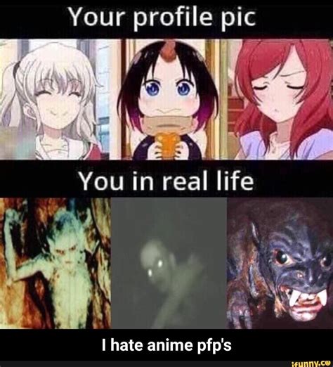 Funny Anime Meme Pfp