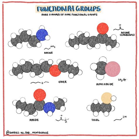 Functional Groups Organic Chemistry Educational Infographics To Help