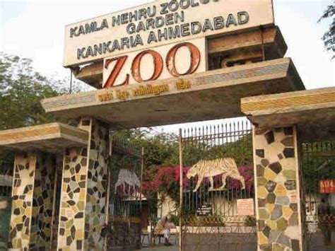 Kamala Nehru Zoo Ahmedabad Gujarat Tourism 2023 How To Reach