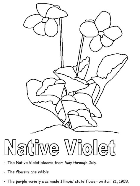 Na stolu dečiji crteži, rasute boje, četkice. Native Violet coloring page
