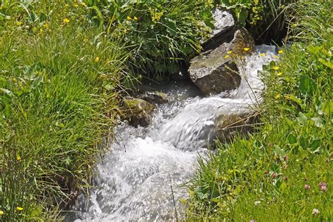 Improve Water Supply In Rural Areas Using Natural Springs Country