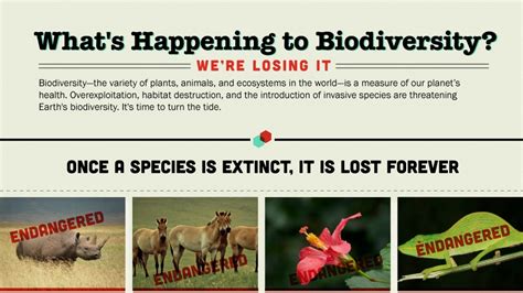 Were Losing Biodiversity Why Is It So Important Check More