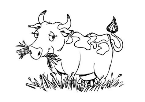 Desenhos de Vacas para Imprimir e Colorir com Lápis de Cor
