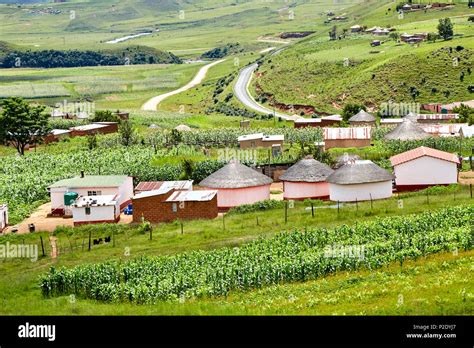 Landscape South Africa Zulu Village Hi Res Stock Photography And Images