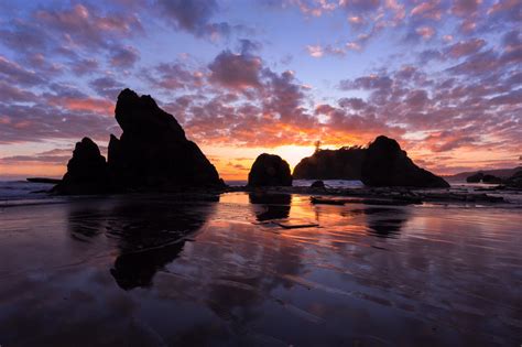 Reasons To Explore Olympic National Park Campingrockers