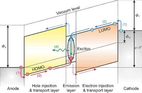 Working Principle Of Organic Light Emitting Diode Americanwarmoms Org