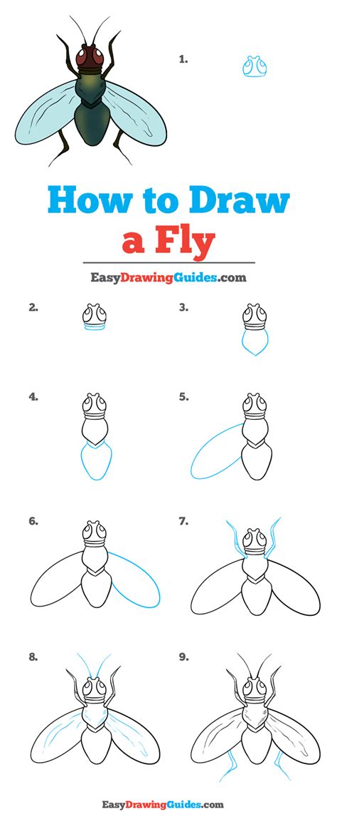 Https://techalive.net/draw/how To Draw A Flying