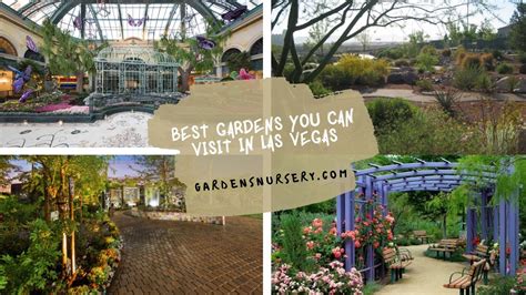 Best Gardens Park You Can Visit In Las Vegas Gardens Nursery