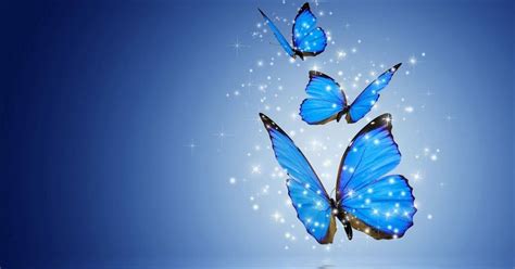 Light Blue Cute Blue Butterfly Wallpaper Download Free