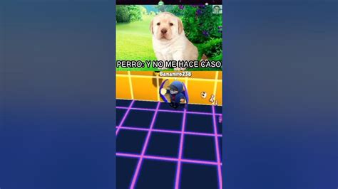 El Perro Youtube