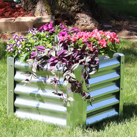 Williston Forge Haight Square Galvanized Steel Planter Box And Reviews