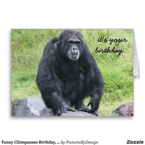 Funny Chimpanzee Birthday Wanna Monkey Around Card