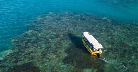 Airlie Beach Glass Bottom Boat Tour Getyourguide