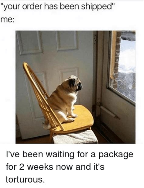 Your Order Has Been Shipped Me Ive Been Waiting For A Package For 2