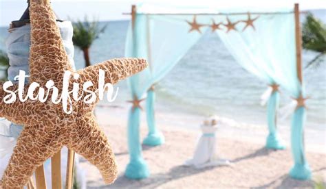 Starfish Themed Beach Weddingsuncoast Weddings