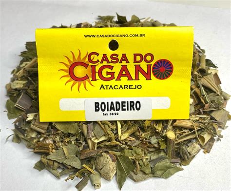 Ervas De Boiadeiro Na Umbanda