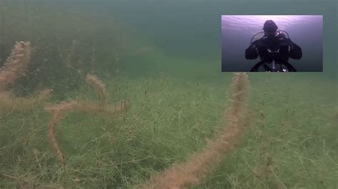 Scuba Woman In A Water Rides An Underwater Scooter And Traps Into Grass