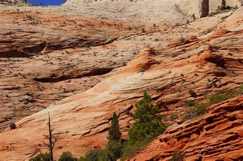 Panorama Cross Current Layers Of Red Sandstone Stock Photo Image Of