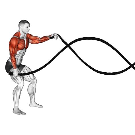 Exercises To Do With Battle Ropes