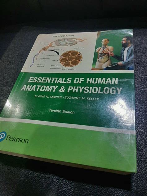 Essentials Of Anatomy And Physiology 12th Edition By Elaine Marieb