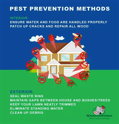 Nozzle Nolen South Floridas Best Pest Prevention Methods