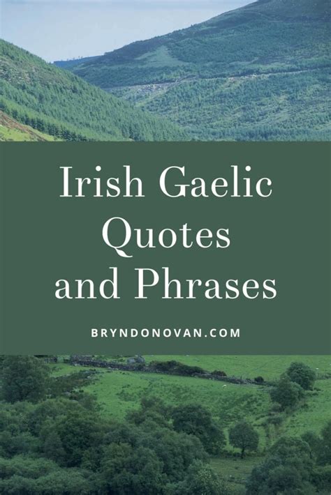 Irish Gaelic Quotes And Phrases For Tattoos Instagram Or Inspiration