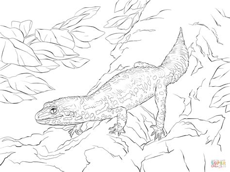 18 Crested Gecko Coloring Pages Printable Coloring Pages