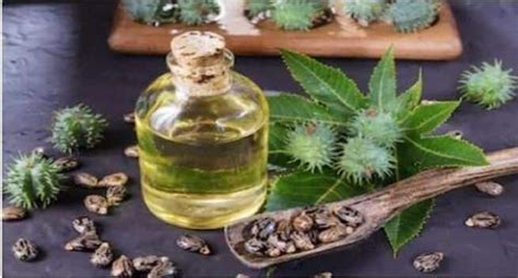 Is It Safe To Use Castor Oil For Treatment Of Constipation