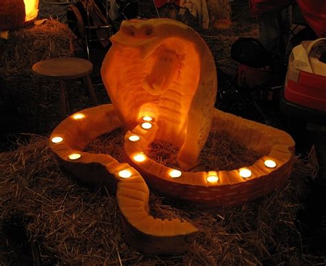 Snake Carved Out Of A Giant Pumpkin At The Annual Chadds Ford Pa