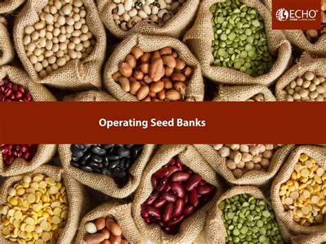 Introduction To Seed Banking