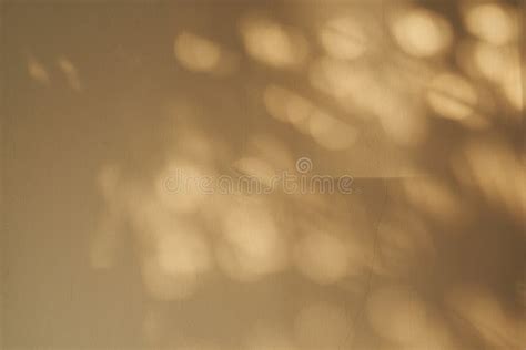 Background Of Sunlight And Shadow On The Wall Stock Image Image Of