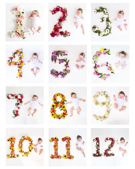 48 Ideas For Baby Pictures Each Month Top Concept