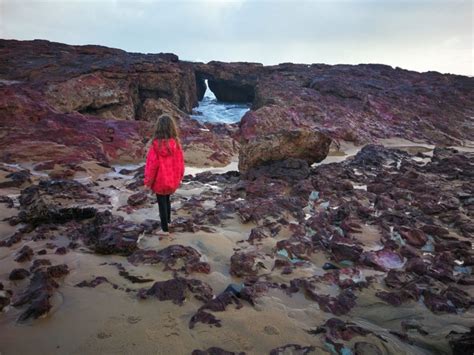 Forrest Caves Walk Phillip Island Walking Maps