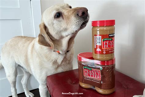 Your Dog Peanut Butter And Xylitol