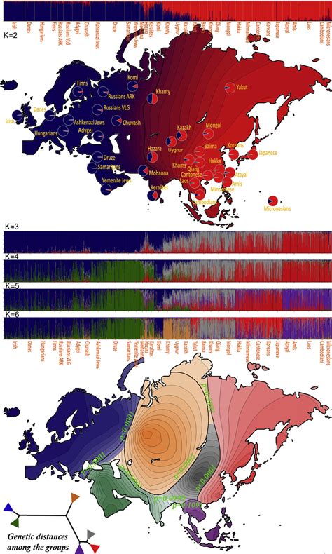 Genetic Landscape Of Eurasia
