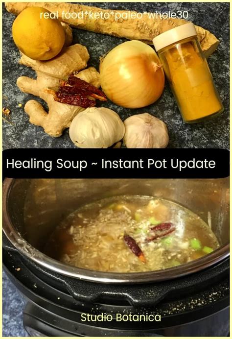 Instant Pot Healing Soup Recipe Studio Botanica